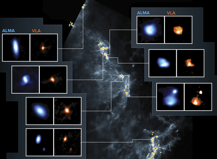 More than three hundred planet-forming disks around young stars found in the Orion Clouds